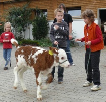 kaelbchen futter